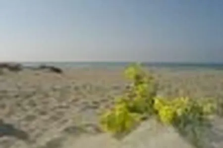 Sea Relax 아파트 *