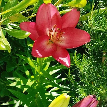 Sea Relax 아파트 *